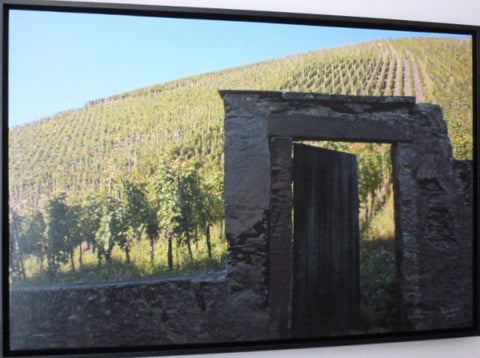 Vineyard Gate Framed
